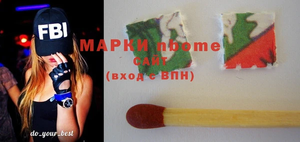 шишки Алексин