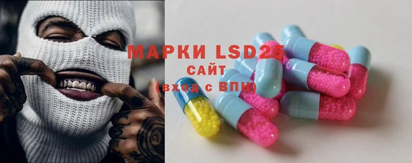 шишки Алексин