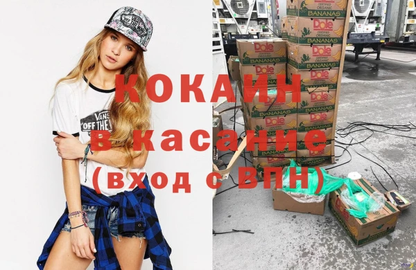 спайс Алзамай